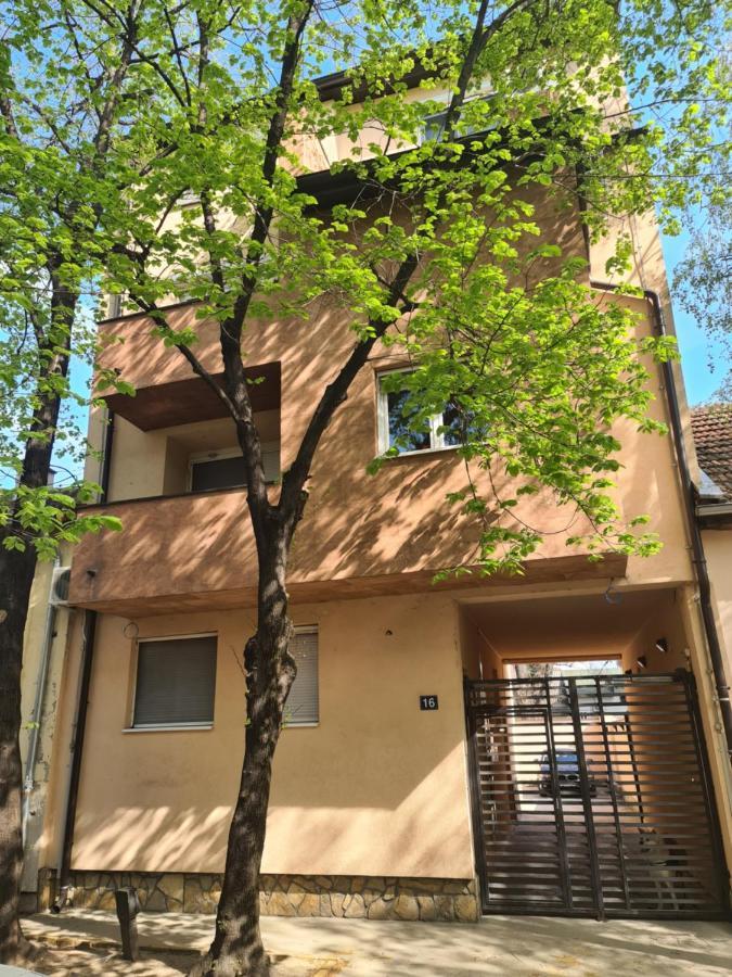 Adonis Apartment Novi Sad Exteriör bild